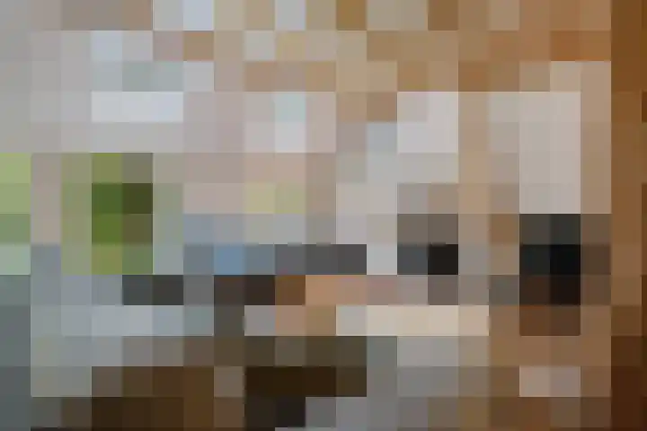 Boergrup 31 Vledderveen thumbnail 5