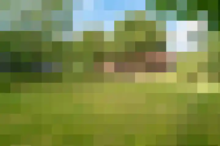 Boergrup 31 Vledderveen thumbnail 6