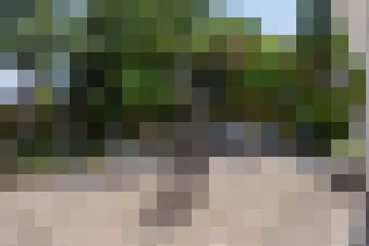 Boergrup 31 Vledderveen thumbnail 66