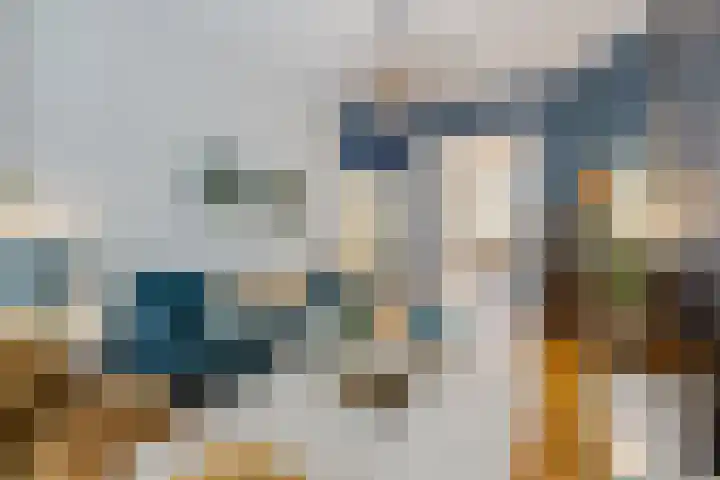 Boergrup 31 Vledderveen thumbnail 68