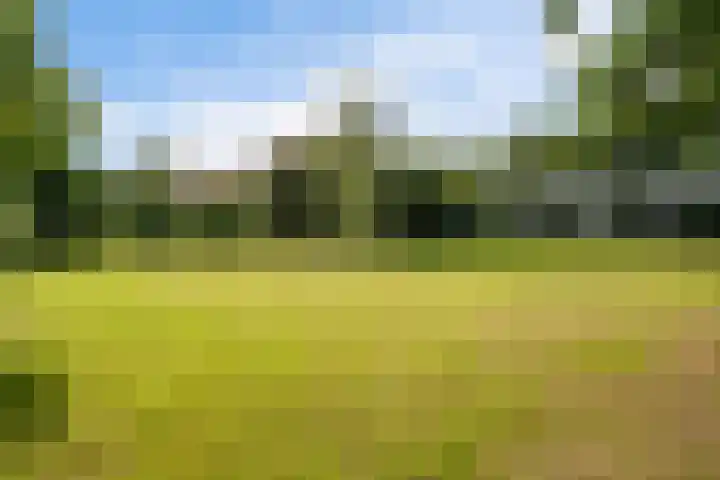 Boergrup 31 Vledderveen thumbnail 72