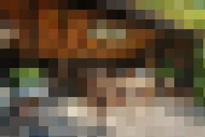 Boergrup 31 Vledderveen thumbnail 78