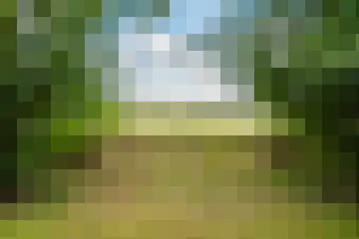 Boergrup 31 Vledderveen thumbnail 81
