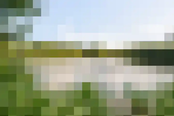 Boergrup 31 Vledderveen thumbnail 84