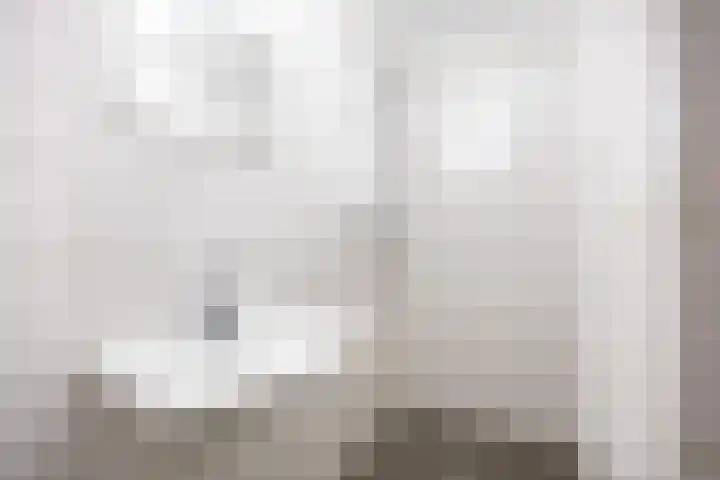 Boergrup 31 Vledderveen thumbnail 90