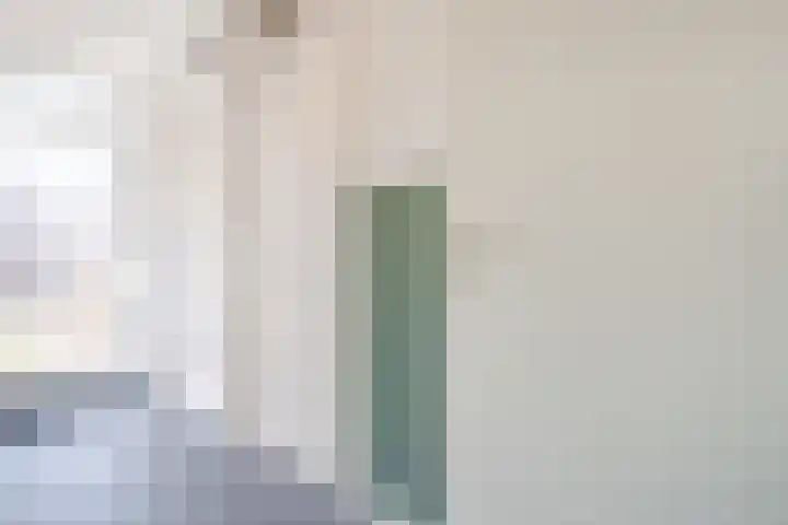 Boerhoorn 9 Vries thumbnail 17