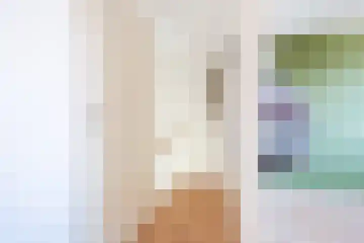 Boerhoorn 9 Vries thumbnail 27
