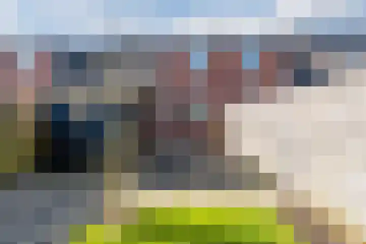 Boerhoorn 9 Vries thumbnail 34