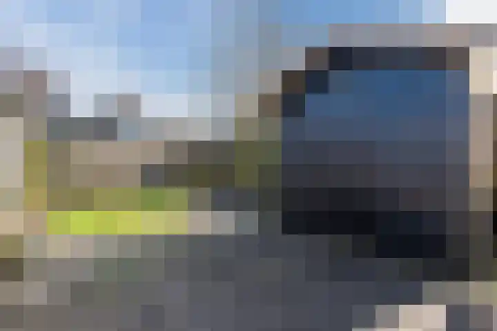Boerhoorn 9 Vries thumbnail 35