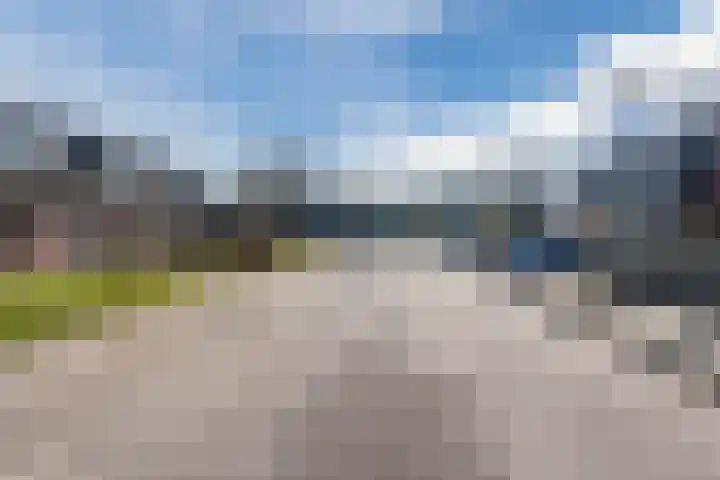Boerhoorn 9 Vries thumbnail 36