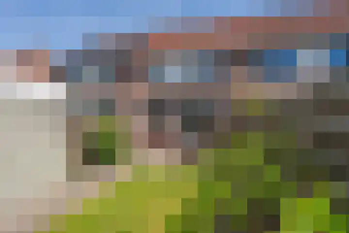 Boerhoorndreef 137 en Assen
