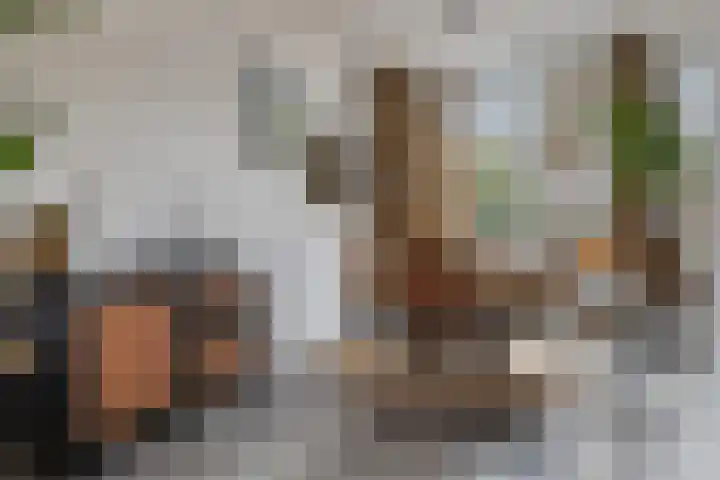 Boermarke 12 Vries thumbnail 11