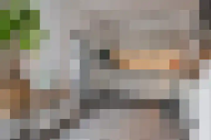 Boermarke 12 Vries thumbnail 14