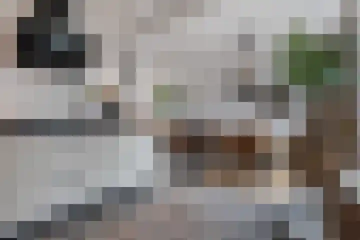 Boermarke 12 Vries thumbnail 15