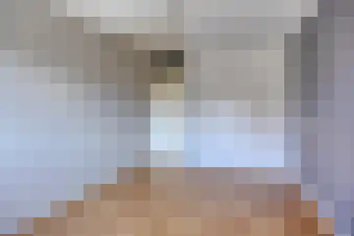 Boermarke 12 Vries thumbnail 16