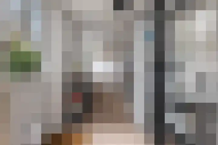 Boermarke 12 Vries thumbnail 16