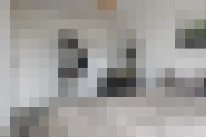 Boermarke 12 Vries thumbnail 21