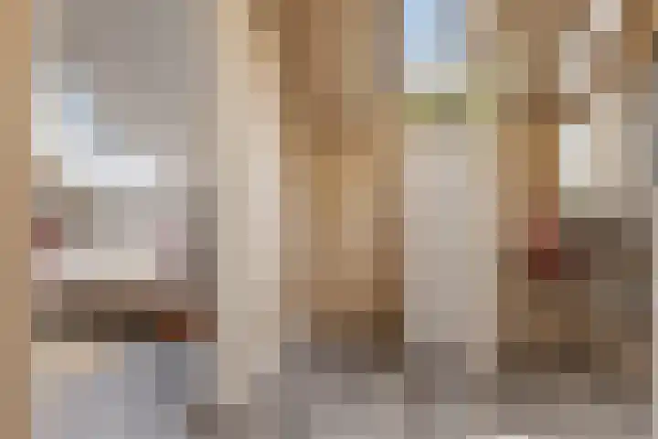 Boermarke 12 Vries thumbnail 25