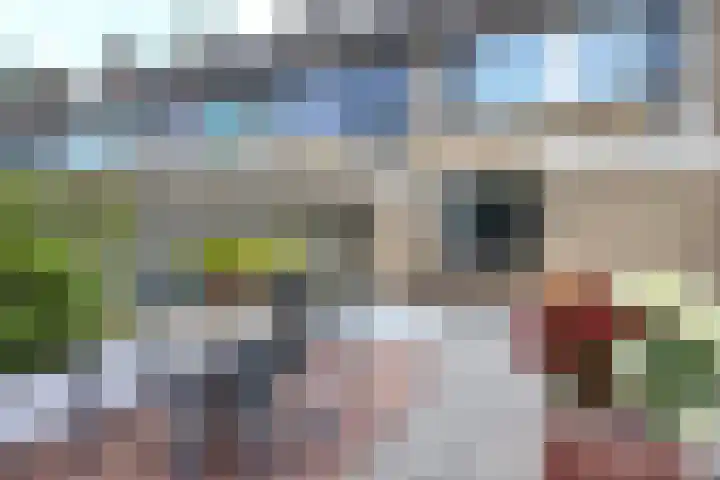 Boermarke 12 Vries thumbnail 27