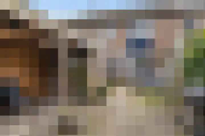 Boermarke 12 Vries thumbnail 28