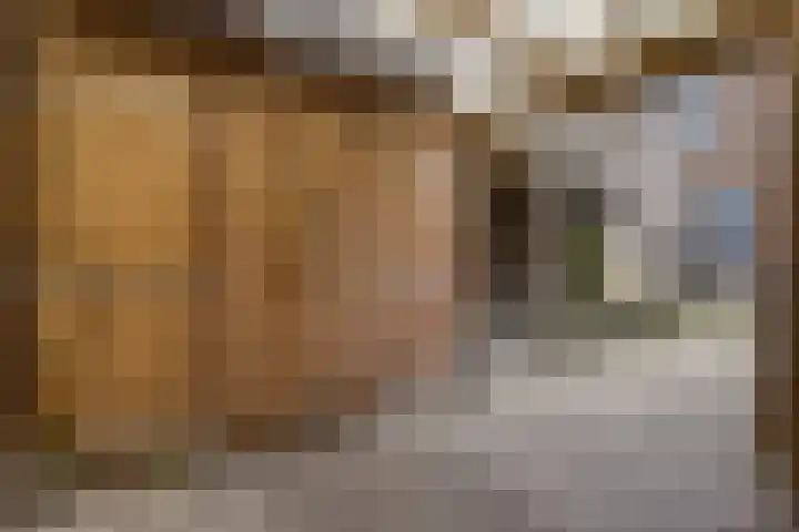 Boermarke 12 Vries thumbnail 31