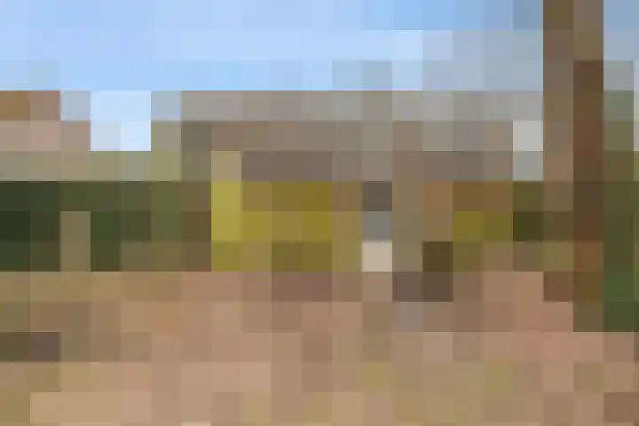 Boermarke 12 Vries thumbnail 33