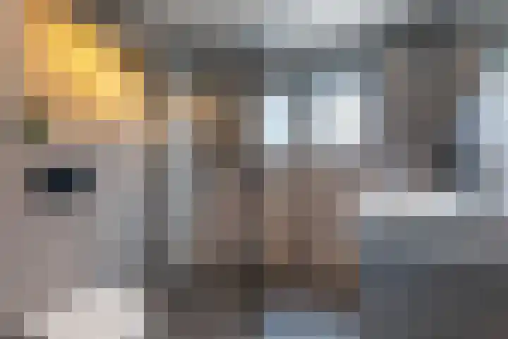 Boermarke 12 Vries thumbnail 4