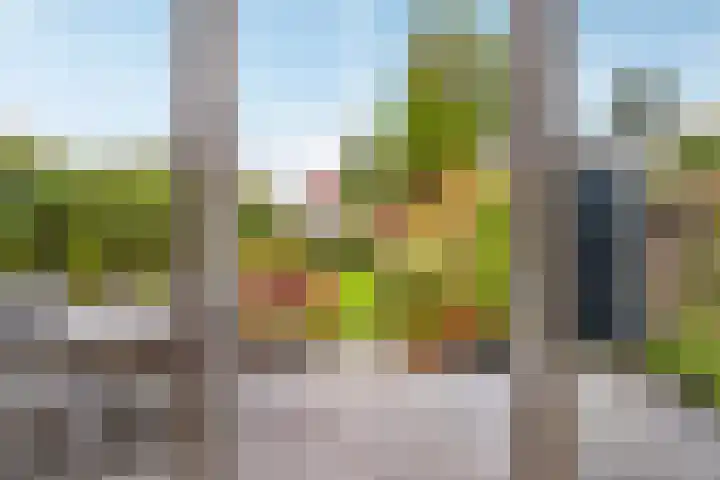 Boermarke 12 Vries thumbnail 8