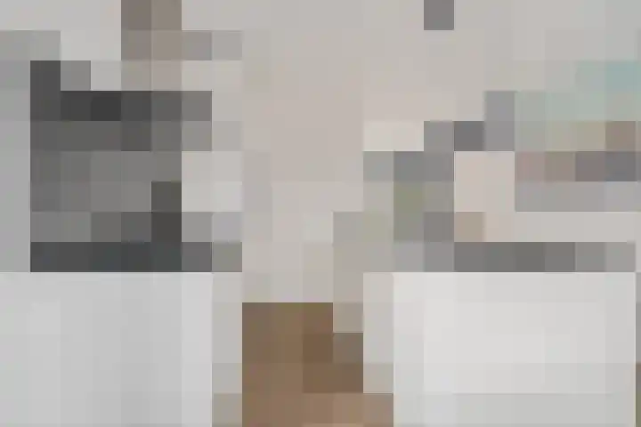 Boermarke 32 Ommen thumbnail 11