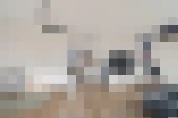 Boermarke 32 Ommen thumbnail 17