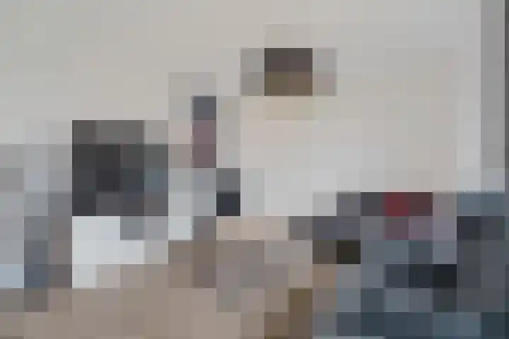 Boermarke 32 Ommen thumbnail 21