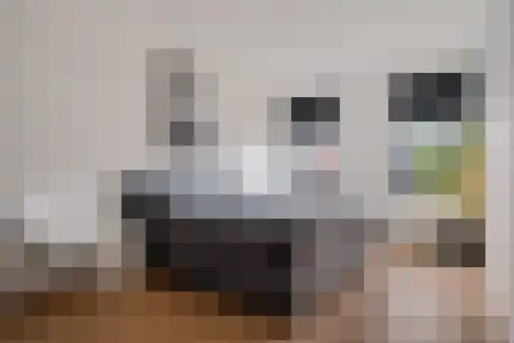 Boermarke 32 Ommen thumbnail 25