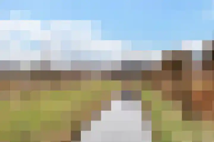 Boermarke 32 Ommen thumbnail 64