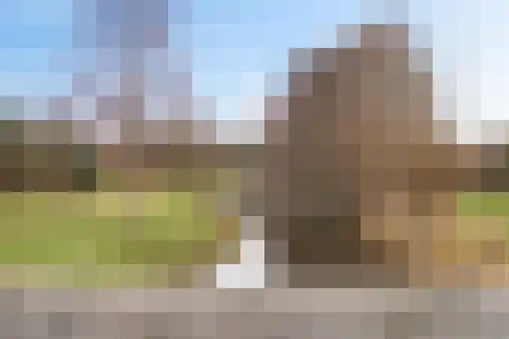 Boermarke 32 Ommen thumbnail 67