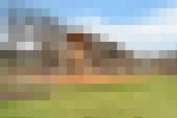 Boermarke 32 Ommen thumbnail 69