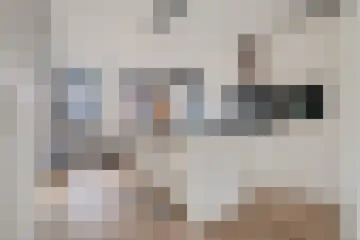 Boermarke 32 Ommen thumbnail 8