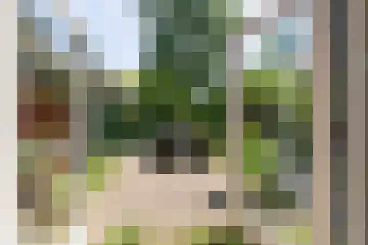 Boerstraat 4 Elp thumbnail 10