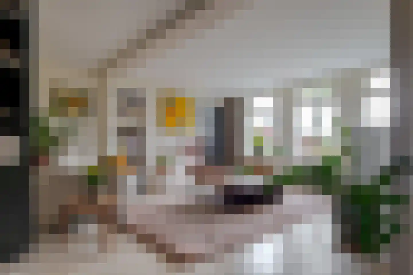 Boerstraat 4 Elp thumbnail 12