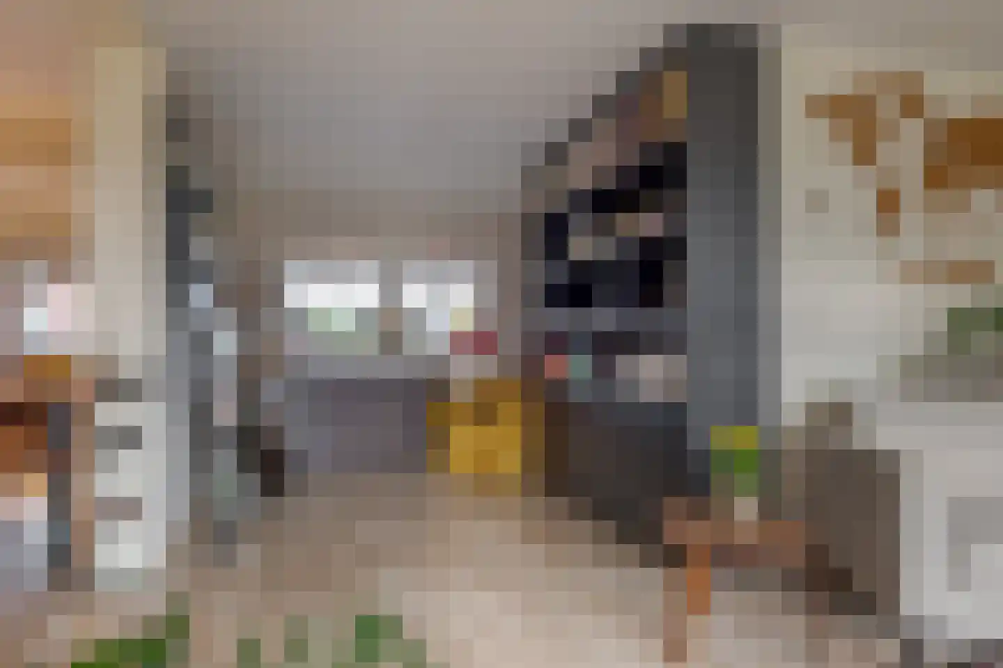 Boerstraat 4 Elp thumbnail 16