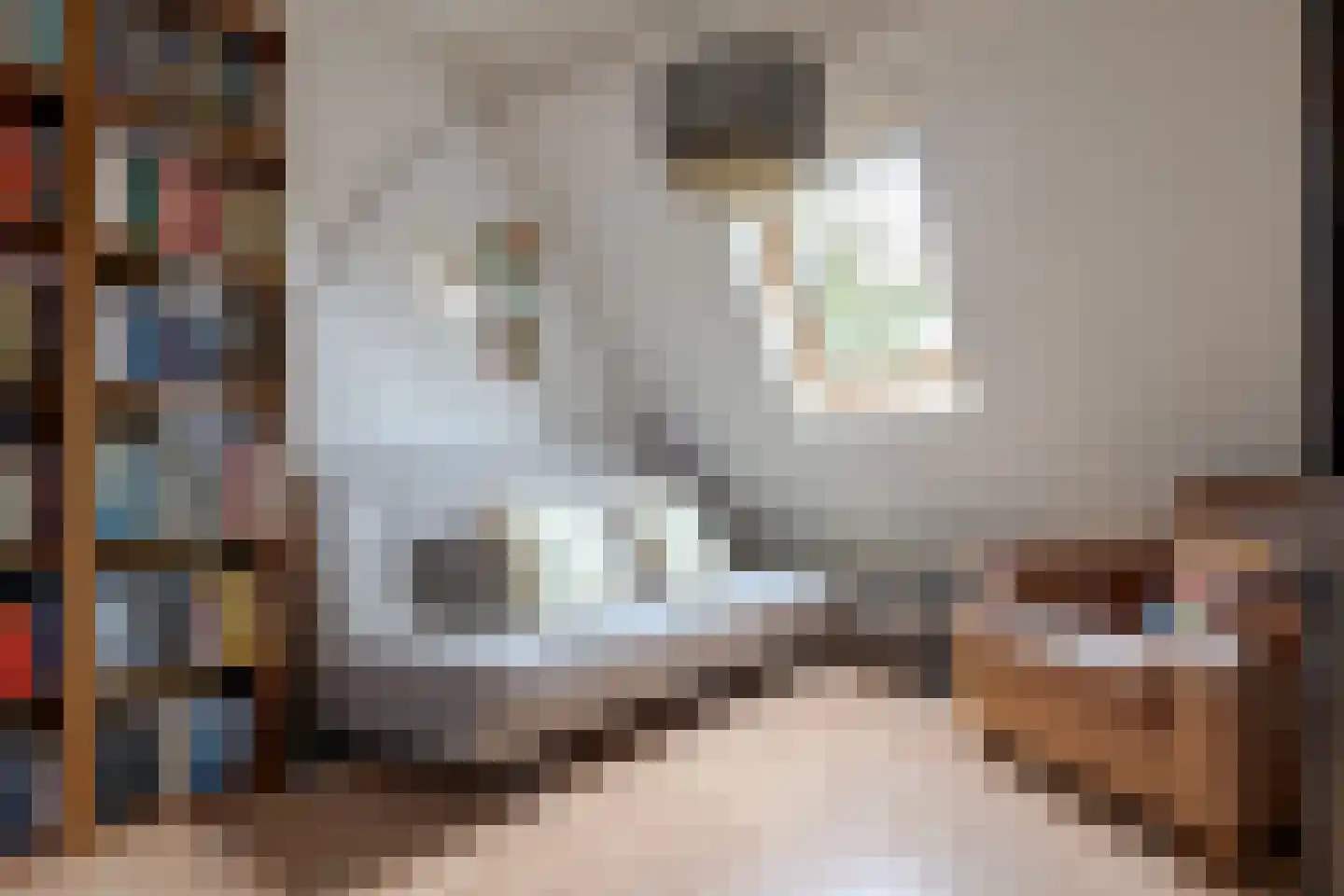 Boerstraat 4 Elp thumbnail 41