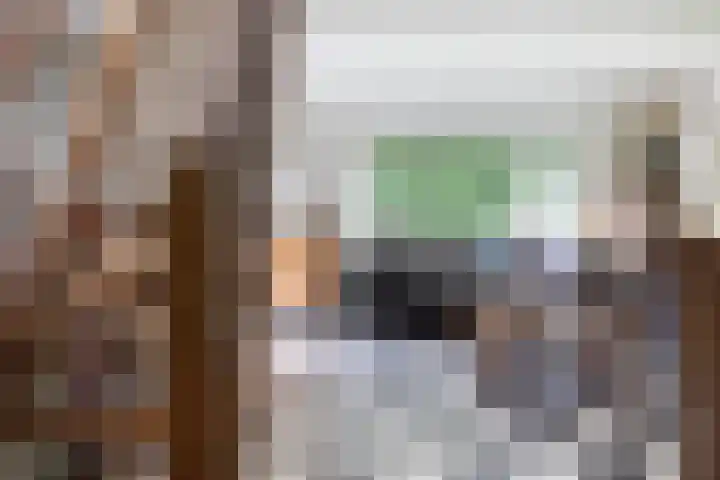 Boerweg 1 B Epe thumbnail 15