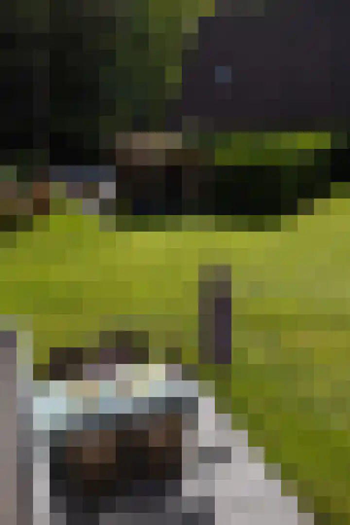 Boerweg 1 B Epe thumbnail 26
