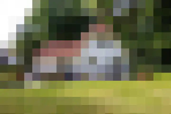 Boerweg 1 B Epe thumbnail 34