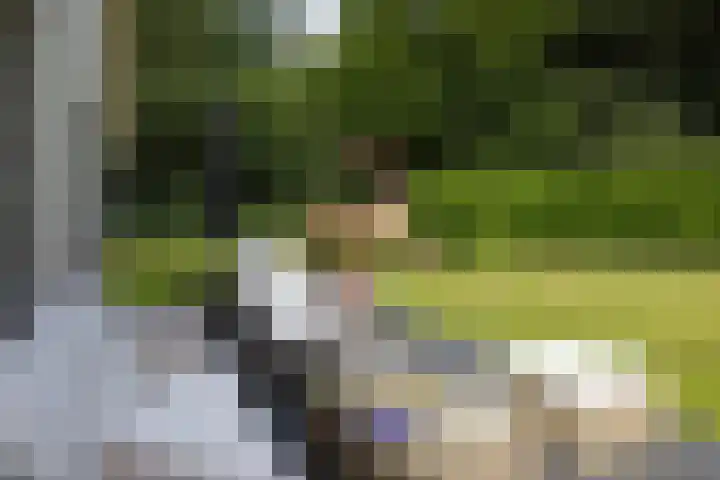 Boerweg 1 B Epe thumbnail 37