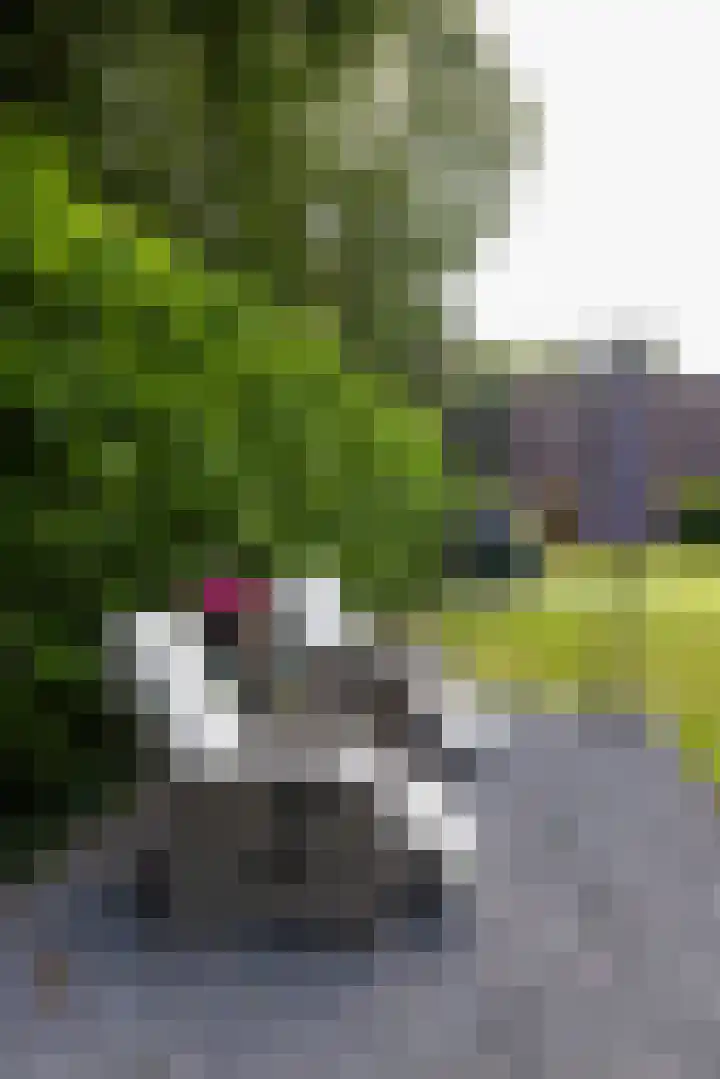 Boerweg 1 B Epe thumbnail 43