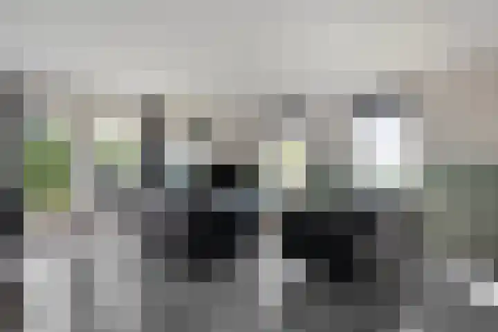 Boerweg 24 Den Ham thumbnail 15