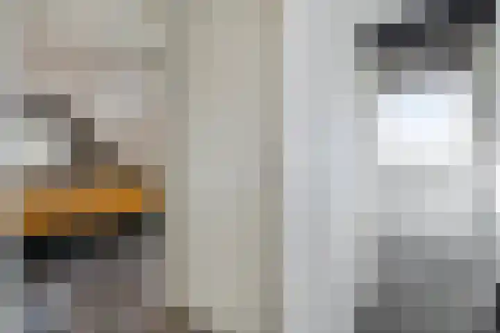 Boerweg 24 Den Ham thumbnail 20