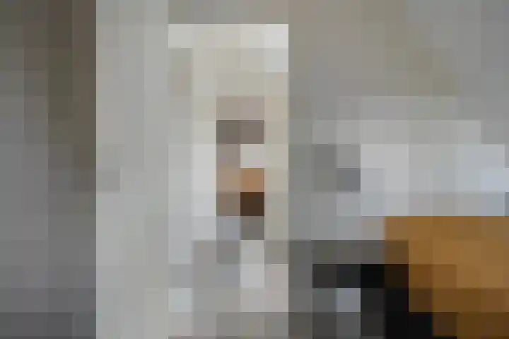 Boerweg 24 Den Ham thumbnail 23