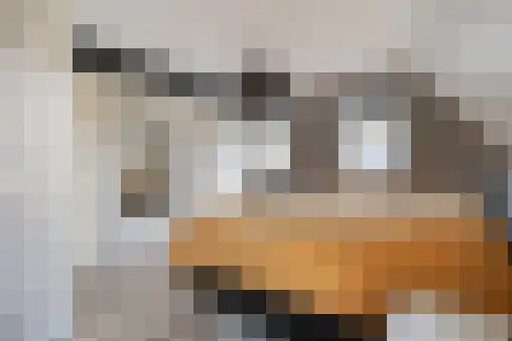 Boerweg 24 Den Ham thumbnail 26
