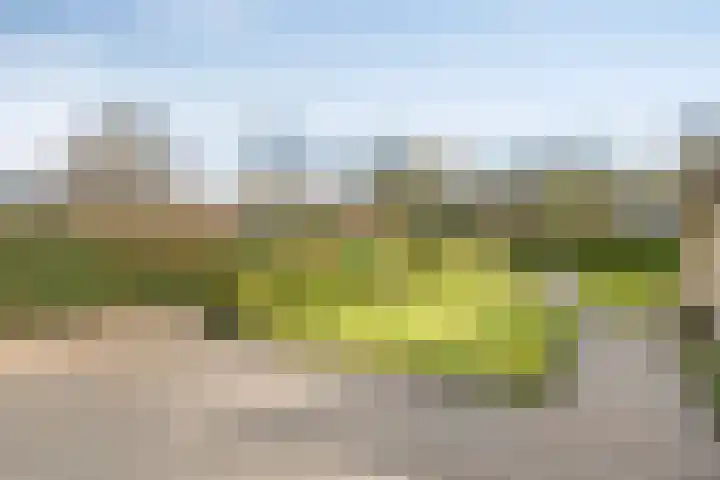 Boerweg 24 Den Ham thumbnail 29